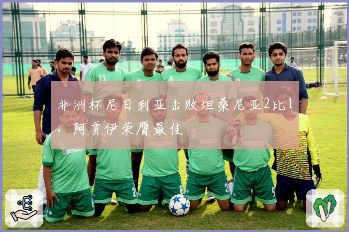 非洲杯尼日利亚击败坦桑尼亚2比1，阿贾伊荣膺最佳