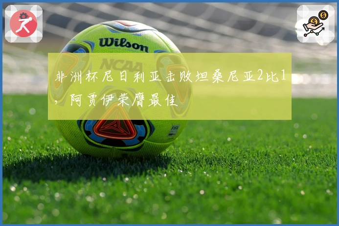 非洲杯尼日利亚击败坦桑尼亚2比1，阿贾伊荣膺最佳